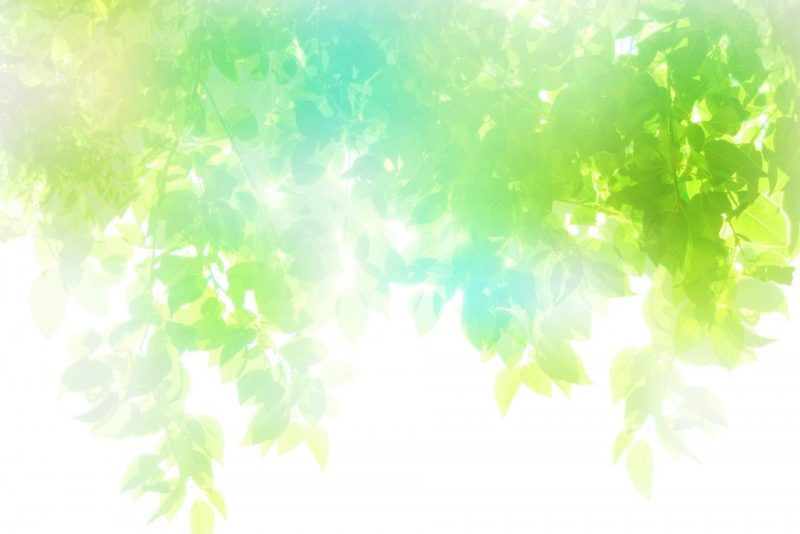 冬至は新しいエネルギーの始まり