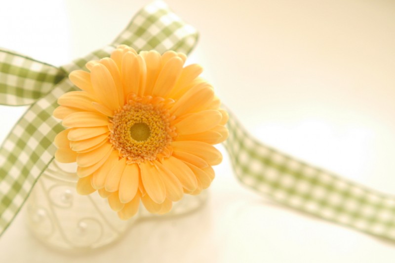 自分と繋がれなくなったのはどうして？