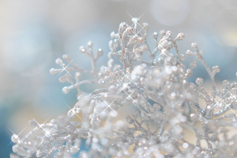 Crystal Core ワークを行っての変化