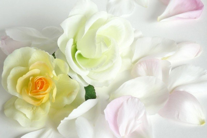 部屋はあなたの分身でエネルギーであなたそのものです