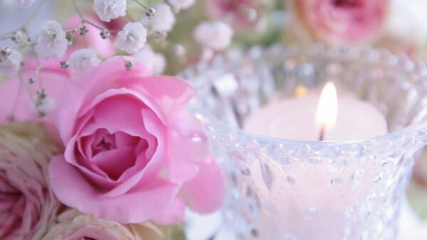 成功体験とエゴ体験を混同してませんか？