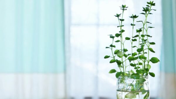 家に嫌われた人　大切にするとは？