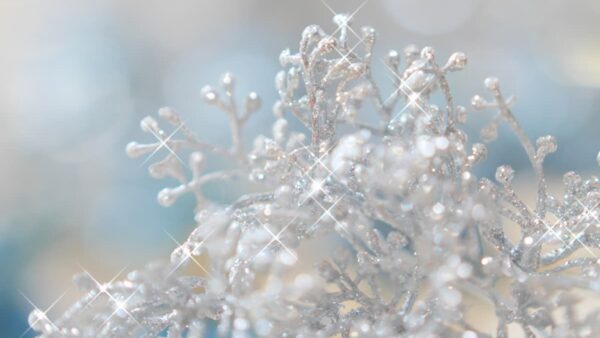 Core＆Rayの世界線　No.4