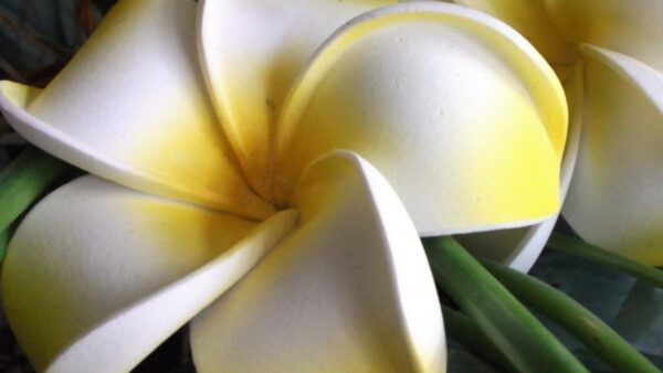 現代人の世界線　本当の自分より遠い場所　No.3