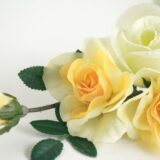 自分と繋がると言う事の本当の意味