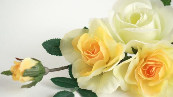 自分と繋がると言う事の本当の意味