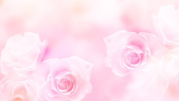 心を開く意味を勘違いしていませんか？その勘違いは人生を不幸にします