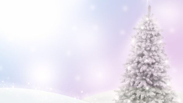 Core＆Ray的　人間の仕組み