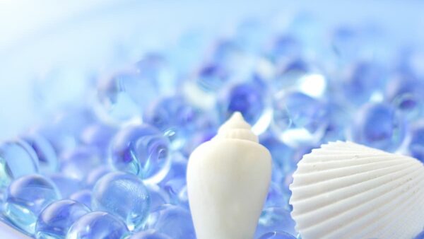 Core＆Ray的　夏の過ごし方