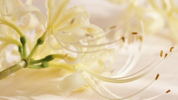 Core＆Ray的　9月から冬への過ごし方